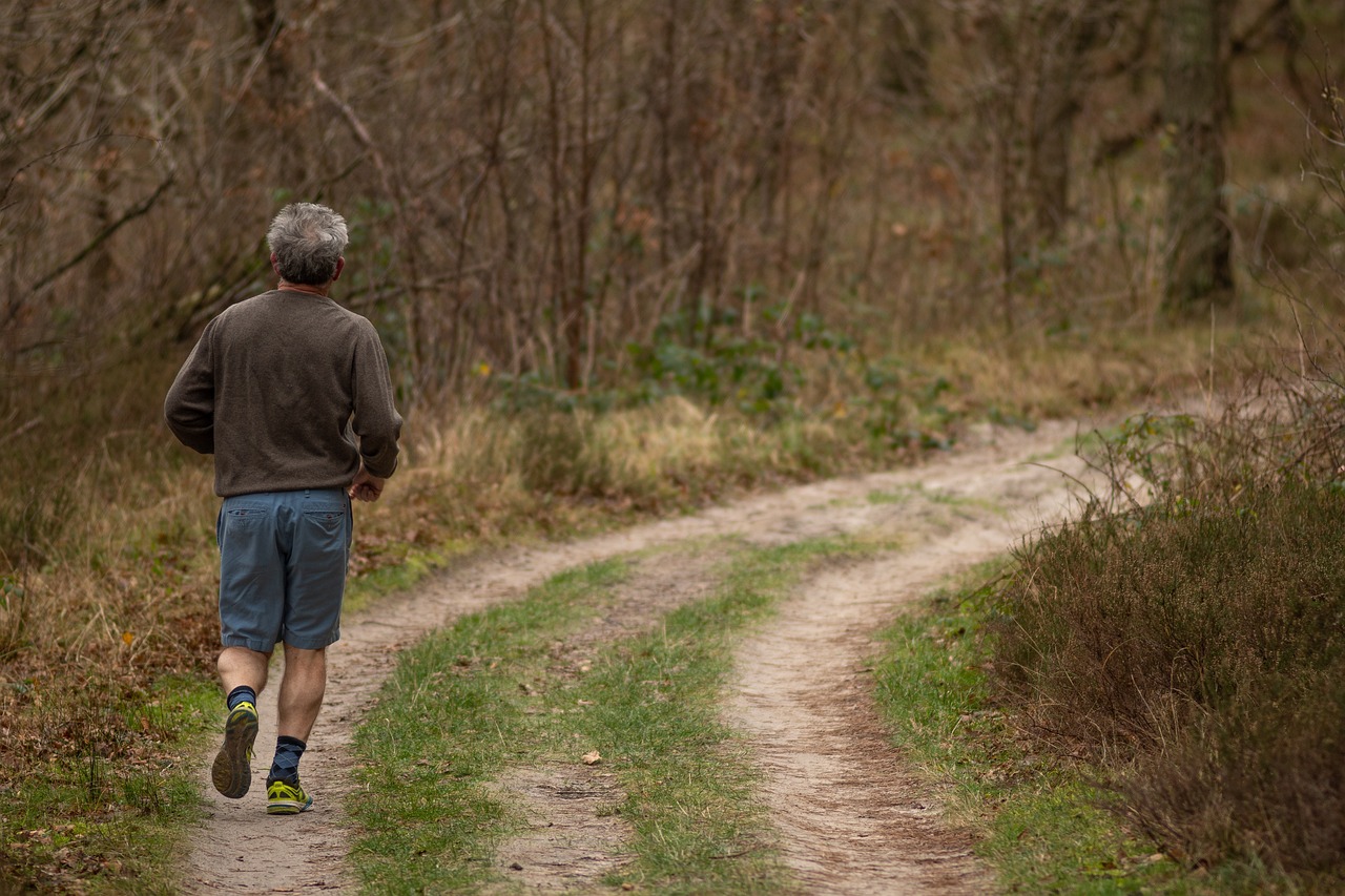 Keeping Your Senior Pet Active - Fun Activities to Try